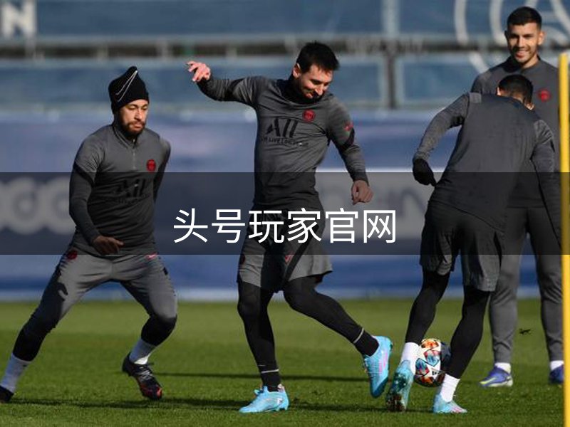 网站概况